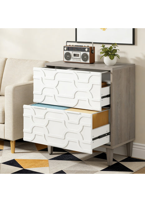 2 Drawer File Cabinet with Adjustable Rails – Office Filing Cabinet for Letter Legal A4 Files