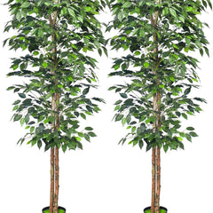 Hall Artificial Trees