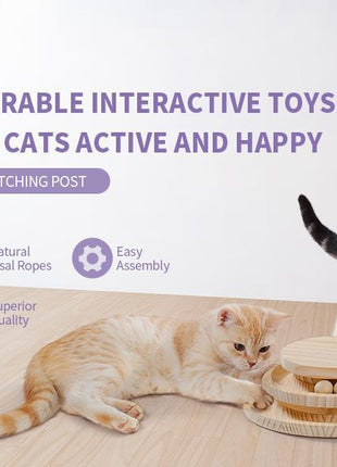 Interactive Cat Scratching Board with Ball Track Toy – Indoor Cat Activity Center with Groomer