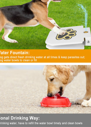 Outdoor Dog Water Fountain Step-On – Paw Activated Pet Drinking Sprinkler with Hose