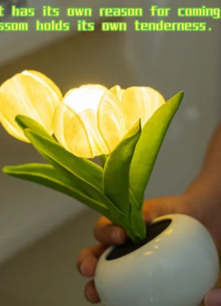 LED Tulip Table Lamp USB Rechargeable – Flower Vase Decorative Night Light with Adjustable Brightness