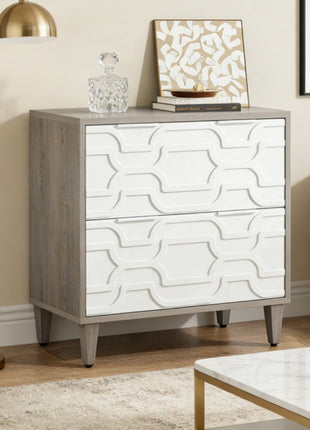 2 Drawer File Cabinet with Adjustable Rails – Office Filing Cabinet for Letter Legal A4 Files