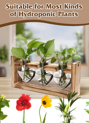 Heart-Shaped Plant Terrarium Propagation Station – Wooden Stand Hydroponic Glass Vase Planter