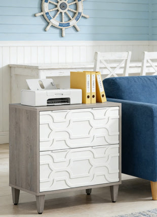 2 Drawer File Cabinet with Adjustable Rails – Office Filing Cabinet for Letter Legal A4 Files