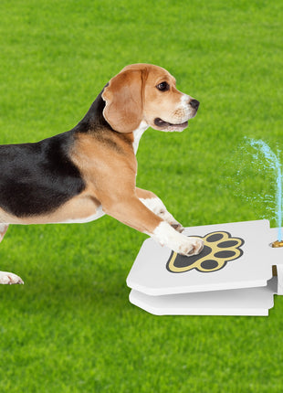 Outdoor Dog Water Fountain Step-On – Paw Activated Pet Drinking Sprinkler with Hose