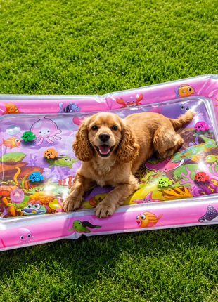 Interactive Cat Water Mat – LED Sensory Play Mat with Floating Fish Toys