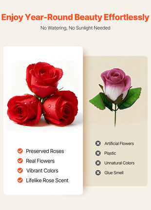 27 Preserved Red Roses Heart Box – Forever Flowers Gift for Women Wife Mom Anniversary Valentine’s Day