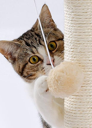 Interactive Cat Scratching Board with Ball Track Toy – Indoor Cat Activity Center with Groomer