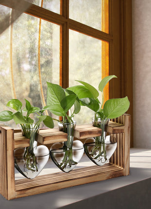 Heart-Shaped Plant Terrarium Propagation Station – Wooden Stand Hydroponic Glass Vase Planter