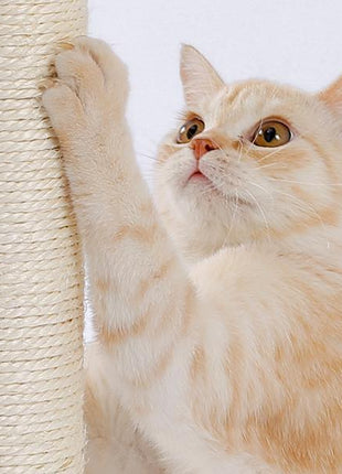 Interactive Cat Scratching Board with Ball Track Toy – Indoor Cat Activity Center with Groomer