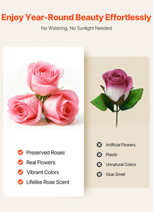 27 Preserved Roses Heart Box – Forever Flowers Gift for Women Wife Mom Anniversary Valentine’s Day