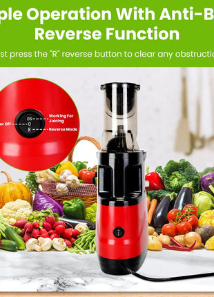 300W Cold Press Juicer Machine – Slow Masticating Juicer with Reverse Function & High Juice Yield