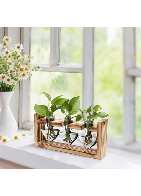 Heart-Shaped Plant Terrarium Propagation Station – Wooden Stand Hydroponic Glass Vase Planter