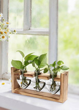 Heart-Shaped Plant Terrarium Propagation Station – Wooden Stand Hydroponic Glass Vase Planter