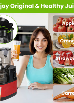 300W Cold Press Juicer Machine – Slow Masticating Juicer with Reverse Function & High Juice Yield