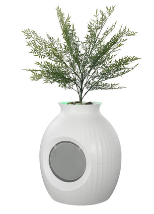 Hidden Plant Cat Litter Box with Smart Odor Control – Decorative Enclosed Cat Litter Furniture