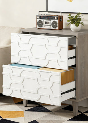 2 Drawer File Cabinet with Adjustable Rails – Office Filing Cabinet for Letter Legal A4 Files