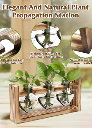 Heart-Shaped Plant Terrarium Propagation Station – Wooden Stand Hydroponic Glass Vase Planter