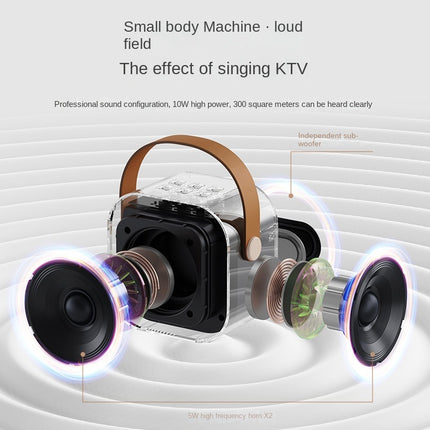 CC4- Karaoke Machine for Kids Adults,Mini Portable Blue-Tooth Karaoke Speaker with 2 Wireless Microphones and Dynamic Lights,Birthday Gift,Home KTV,Outdoor,Travel - Likeshoppe 