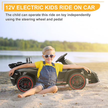BH15- LEADZM Lamborghini Poison Small Dual Drive 12V 4.5AH with 2.4G Remote Control Sports Car Electric Car Black - Likeshoppe 