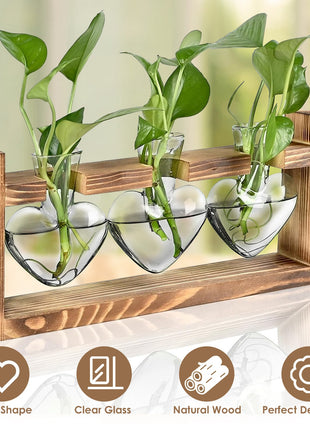 Heart-Shaped Plant Terrarium Propagation Station – Wooden Stand Hydroponic Glass Vase Planter