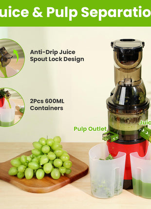 300W Cold Press Juicer Machine – Slow Masticating Juicer with Reverse Function & High Juice Yield