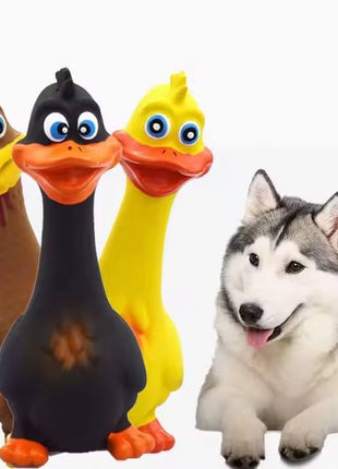 3PCS Screaming Chicken Dog Toys – Latex Squeaky Interactive Chew Toys for Dogs