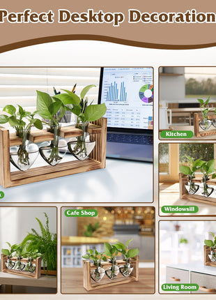 Heart-Shaped Plant Terrarium Propagation Station – Wooden Stand Hydroponic Glass Vase Planter