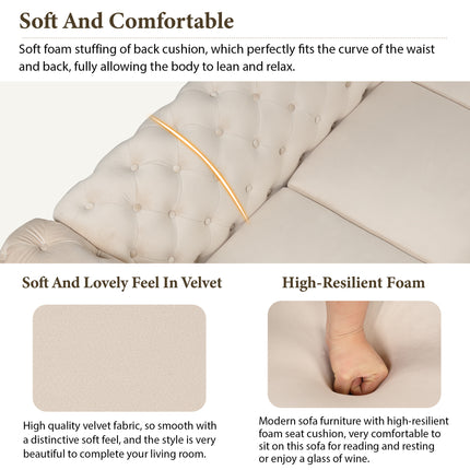 F7- 63" Velvet Upholstered Loveseat Sofa,Modern Loveseat Sofa with Button Tufted Back,2-Person Loveseat Sofa Couch for Living Room,Bedroom,or Small Space,Beige - Likeshoppe 